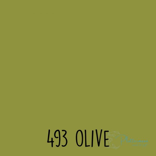Oracal vinyl mat 493 Olive