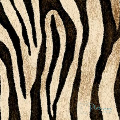 Siser easypattern Wild zebra