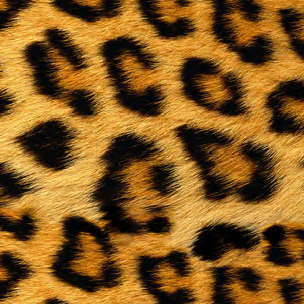 Siser easypattern wild leopard